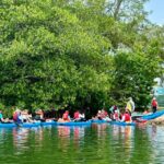 Miami: Manatee Season Paddleboard or Kayak Tour - Real Voices: What Travelers Say
