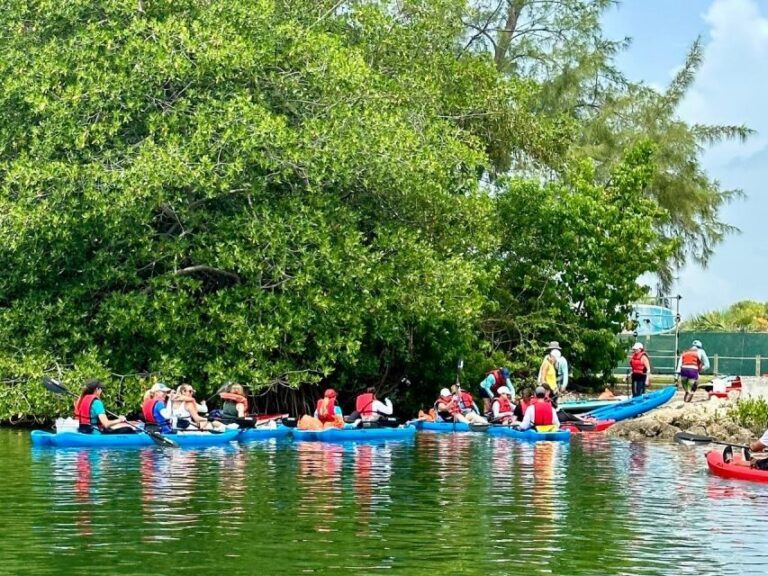 Miami: Manatee Season Paddleboard or Kayak Tour - Real Voices: What Travelers Say