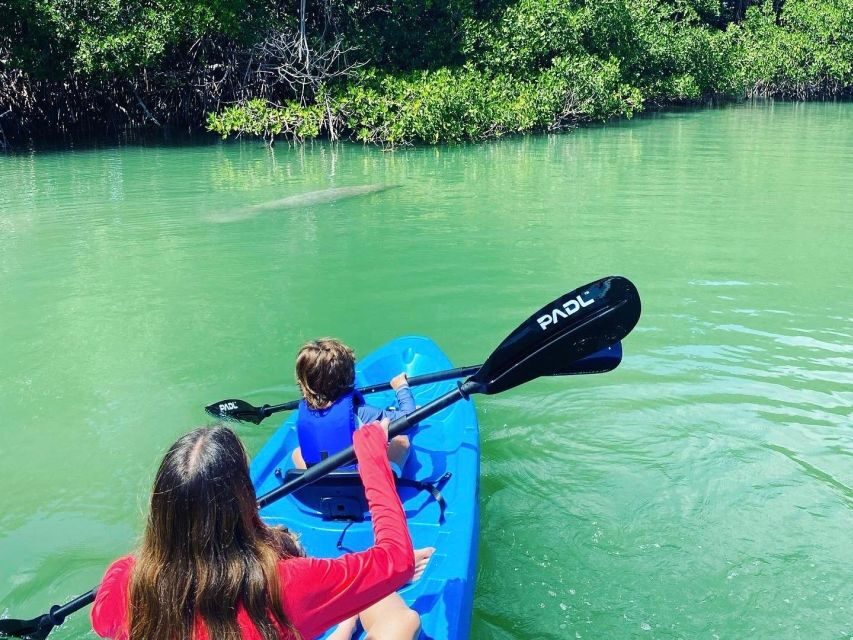 Miami: Paddle Board or Kayak Rental in Virginia Key - What to Expect During Your Rental