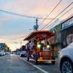 Miami Pedal Pub: Arts District Party Bike Pub Crawl - Who Would Love This Tour?