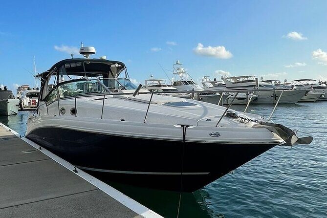 Miami Private Yacht Rental 2 to 4 hours for 12 ppl, Champagne - The Overall Experience and Guest Feedback