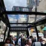 Miami Sightseeing Tour in a Convertible Bus (French) - The Practicalities