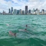 Miami Small Group Boat Tour: History, Wildlife, and Stiltsville - Pricing and Value