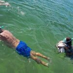 Miami: Snorkel adventure & Sandbar Trip - What’s Included & What You Need to Bring