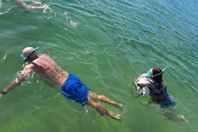 Miami: Snorkel adventure & Sandbar Trip - What’s Included & What You Need to Bring