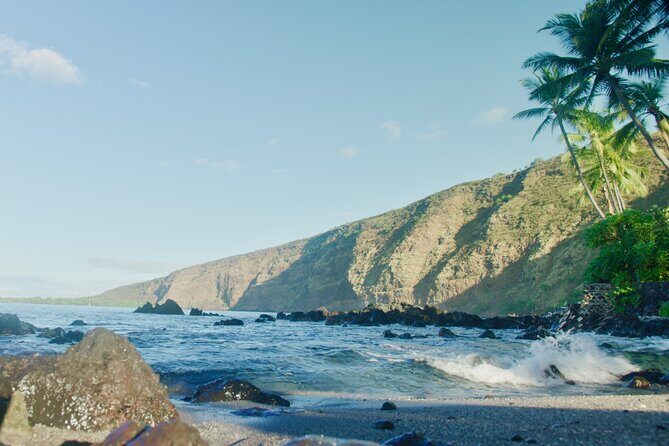 Midday Meander - Kealakekua Bay Kayak and Snorkel Adventure - The Value of This Experience