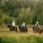 Midway, Utah: Horseback Riding Tour with Guide - Who Is This Tour Best For?