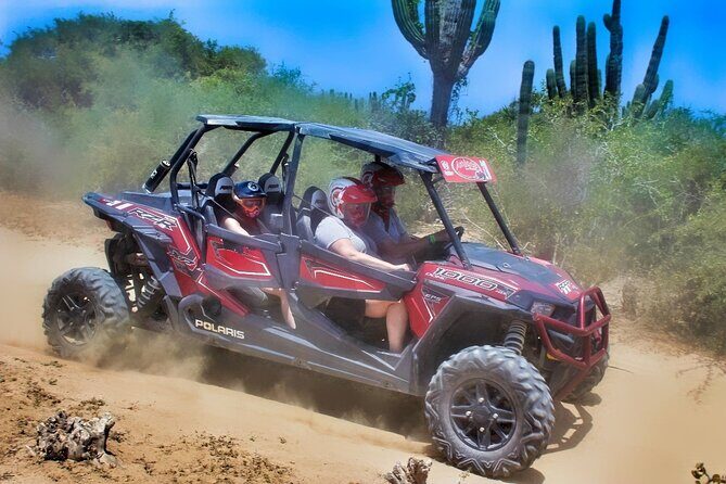 Migriño Beach Razor UTV Adventure - Real Experiences from Past Participants