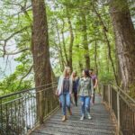 Milford Sound Coach and Cruise tour from Queenstown - The Value of This Tour