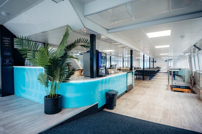 Milford Sound Cruise - Who Is This Tour Best Suited For?