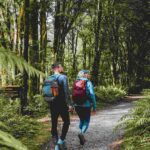 Milford Sound: Nature Cruise & Milford Track Walk - Practical Details & Tips