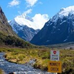 Milford Sound Small Group Day Tour From Queenstown - What’s Included and What’s Not