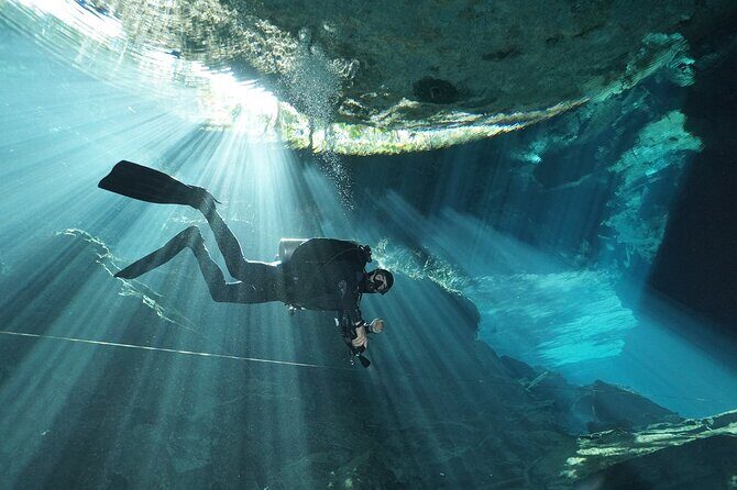 Mind Blowing Cenote Diving Experience In Playa del Carmen - An Honest Look at the Cost