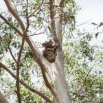 Minjerribah Cultural Experience - The Experience of a Lifetime: What It Feels Like