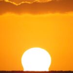 Moanas Luxury semi-private Sunset Cruise on Nalu - Who Is This Tour Best For?