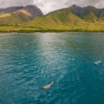 Molokini and Turtle Arches Snorkeling Trip from Ma'alaea Harbor - Deep Dive into the Experience