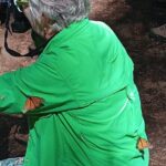 Monarch Butterflies El Rosario Preserve from Mexico City - The Experience in Detail