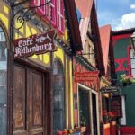 Monarch Butterfly: Biosphere Reserve & Christmas Tour in Mexico - The Experience: Pros and Cons