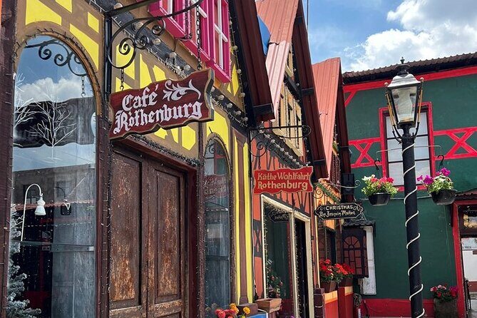 Monarch Butterfly: Biosphere Reserve & Christmas Tour in Mexico - The Experience: Pros and Cons