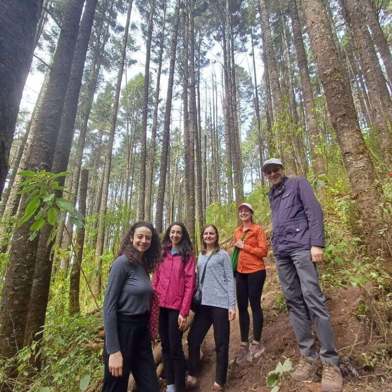 Monarch Butterfly Mexico Reserve Sanctuary & Valle de Bravo - Valle de Bravo: Charm, Culture, and Local Life