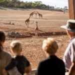 Monarto Safari Park: General Admission Tickets - Who Will Love Monarto Safari Park?