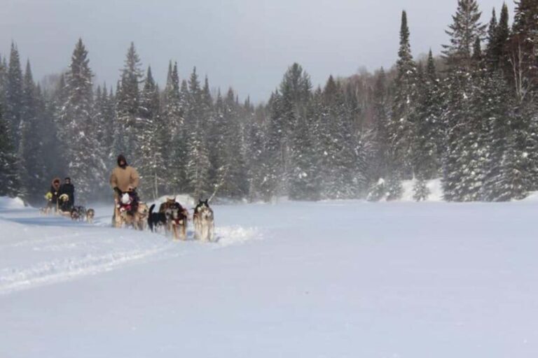 Mont-Tremblant: Dogsledding Nordic Adventure - FAQs