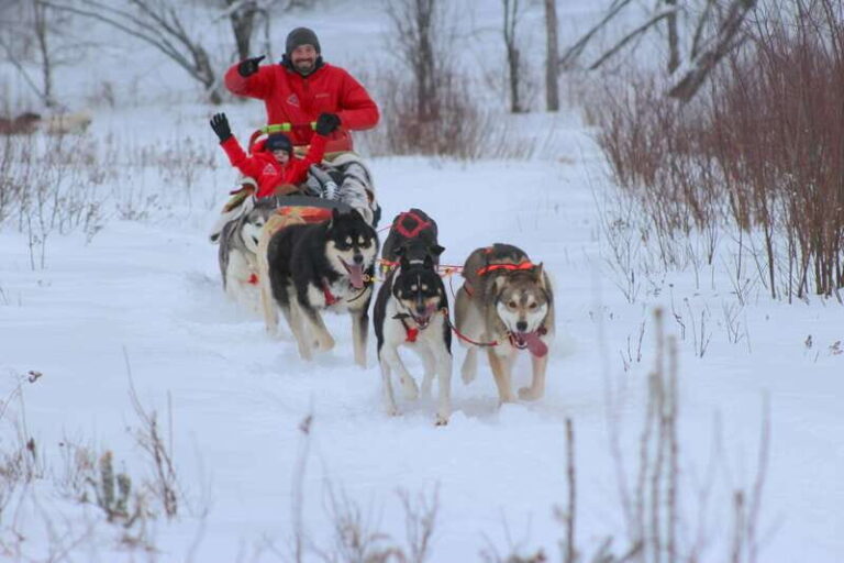 Mont-Tremblant: Dogsledding Valley Adventure - An In-Depth Look at the Dogsledding Valley Adventure
