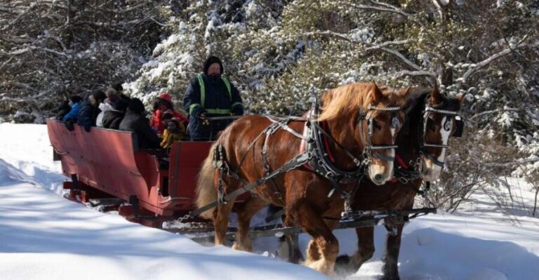 Mont-Tremblant: Sleigh Ride w/ Storytelling & Hot Chocolate - What Makes This Tour Worth Considering?