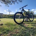 Monte Albán Bike Tour: history, culture and scenery. - What to Expect from the Itinerary