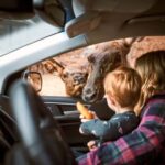 Montebello, QC: General Admission to Parc Omega - A Day in the Park: How It Unfolds