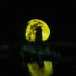 Montebello, QC: Omega Park ONIRO Immersive Experience at Night - A Closer Look at the ONIRO Experience