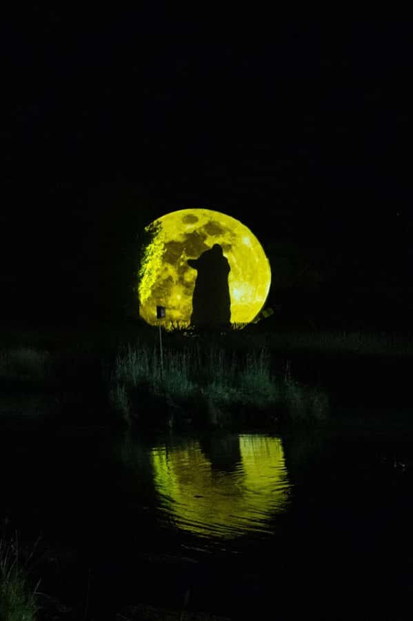 Montebello, QC: Omega Park ONIRO Immersive Experience at Night - A Closer Look at the ONIRO Experience