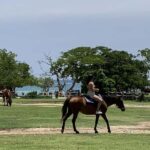 Montego Bay: Day Trip with Zipline, ATV, and Horseback Ride - The Additional Activities & Amenities