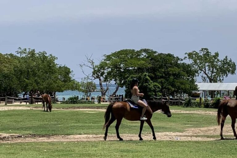 Montego Bay: Day Trip with Zipline, ATV, and Horseback Ride - The Additional Activities & Amenities