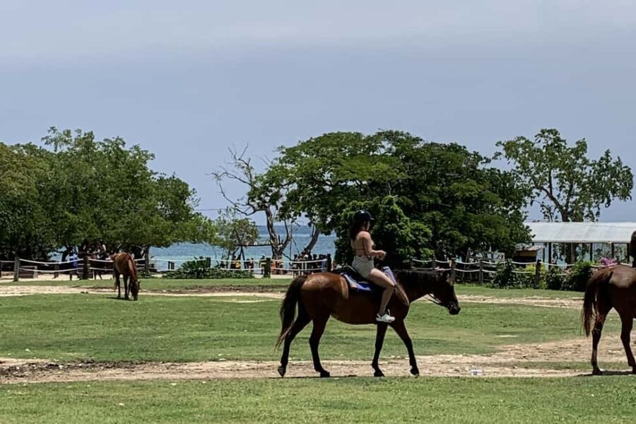 Montego Bay: Day Trip with Zipline, ATV, and Horseback Ride - The Additional Activities & Amenities