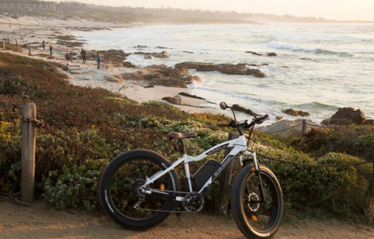 Monterey: 17-Mile Drive Guided E-Bike Tour - What Are the Highlights?
