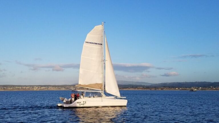 Monterey: Catamaran Sailing Cruise - The Experience of the Sails