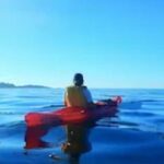 Monterey: Pebble Beach Kayak Tour - The Experience in Detail