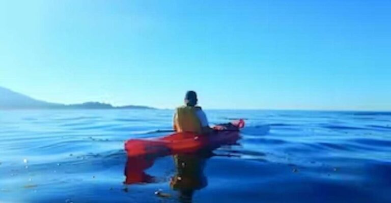 Monterey: Pebble Beach Kayak Tour - The Experience in Detail