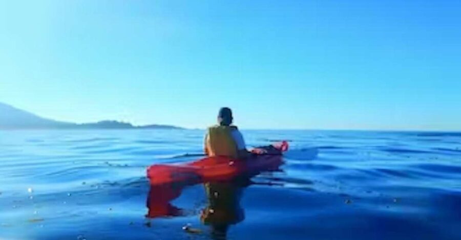 Monterey: Pebble Beach Kayak Tour - The Experience in Detail