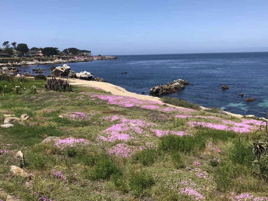 Monterey Peninsula Sightseeing Tour including 17 Mile Drive - Who Would Love This Tour?