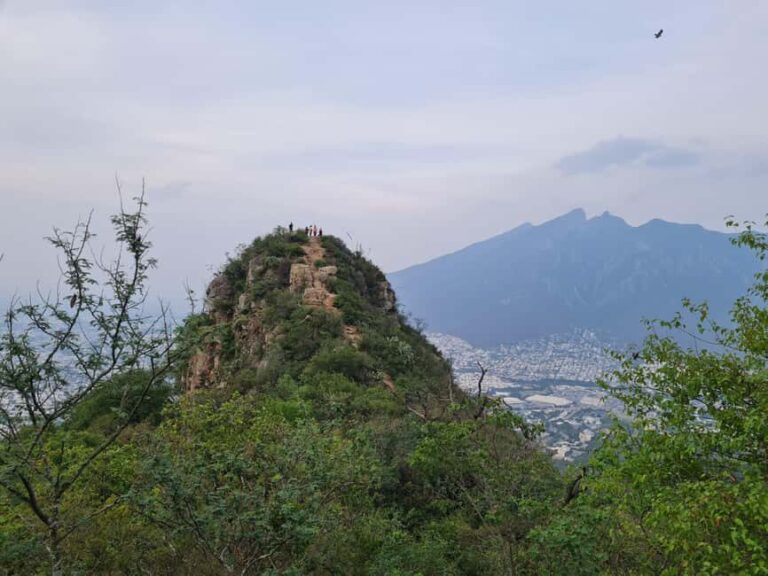 Monterrey: Pet-friendly hiking in Cerro del Chupón - The Summit and Views