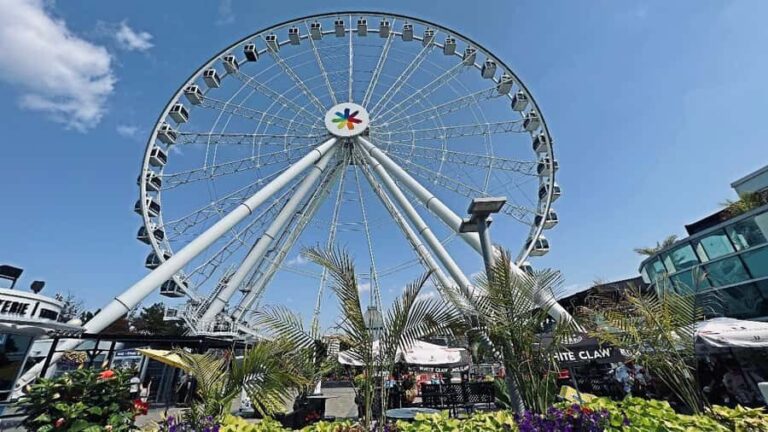 Montreal 3-Hour Private Car Tour with Expert Local Guide - Detailed Breakdown of the Itinerary