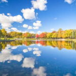 Montreal: Guided Bus Tour - Detailed Breakdown of the Itinerary