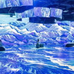 Montreal: OASIS Immersion Entry Ticket - Key Points