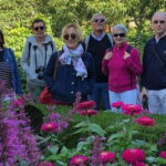 Montreal : Old Montreal Walking Tour With A Guide - Who Is This Tour Best Suited For?