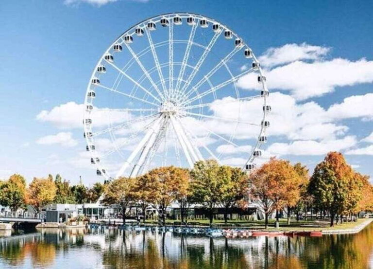 Montreal : Street Art Walking Tour With A Guide - The Experience: What to Expect on the Ground