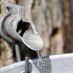 Montreal: Sugar Shack Maple Syrup Day Trip with Lunch - The Cost and Value