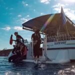 Mooloolaba: Snorkel with Turtles Mudjimba Island - The Snorkeling Experience – What to Expect
