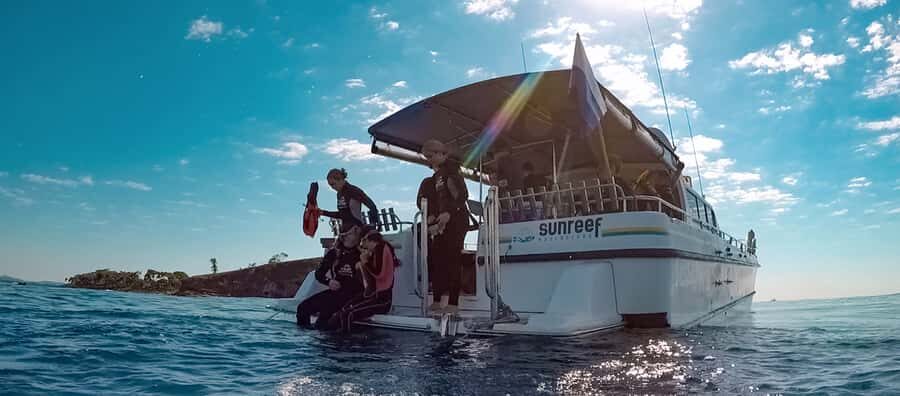 Mooloolaba: Snorkel with Turtles Mudjimba Island - The Snorkeling Experience – What to Expect